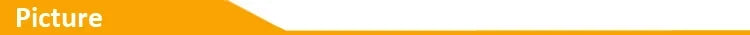 Cargador Inalámbrico Magnético para Coche | Soporte para Rejilla | 15W | Compatible iPhone 12-17 y Android
